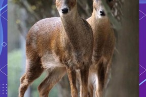 钕铁硼多少钱一吨-开云彩金